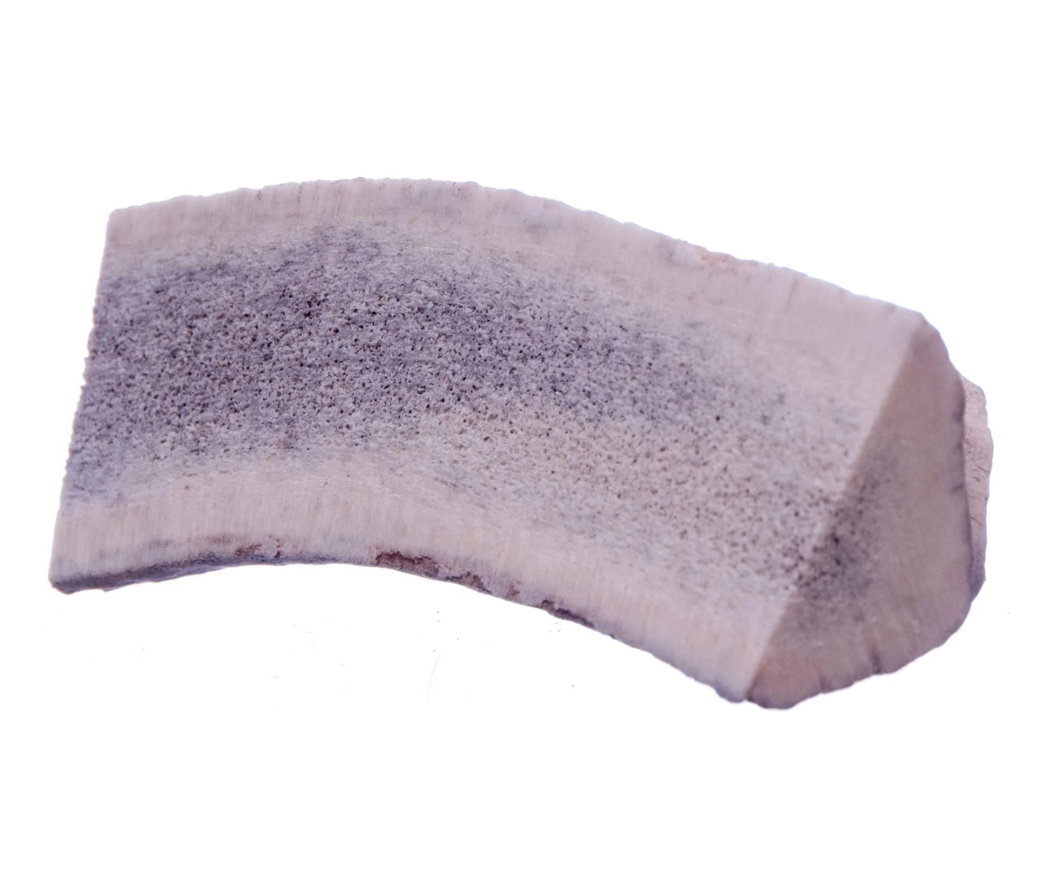 Split Antlerz (The Trew) - Pet's Shop