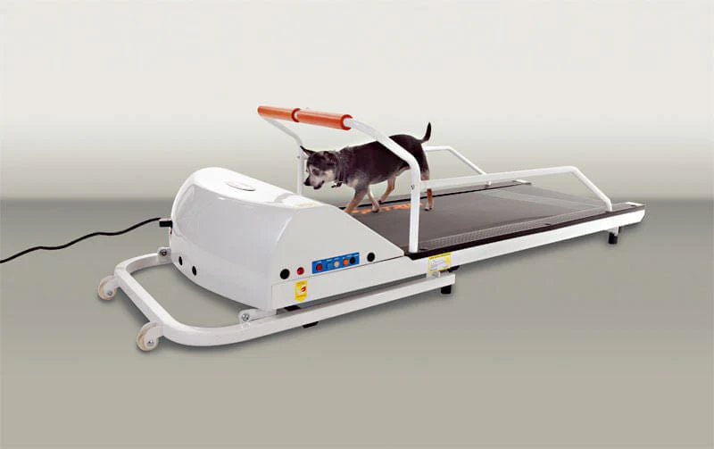 PetRun Small Breed Treadmill (PR710F) - Pet's Shop