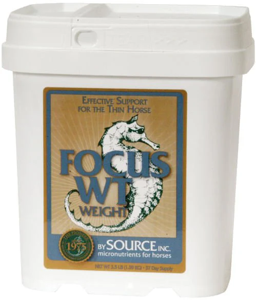 Focus WT Equine Weight Gain Supplement - Pet's Shop