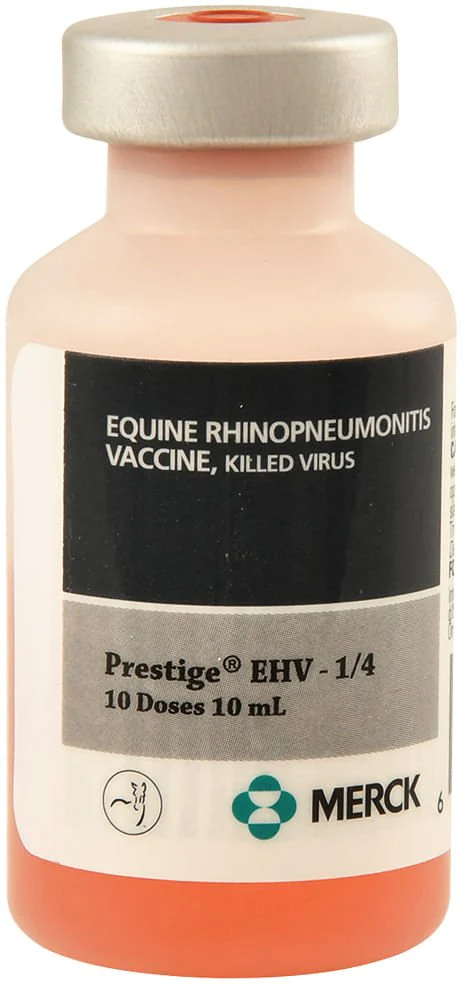Prestige EHV-1/4, 10 dose - Pet's Shop