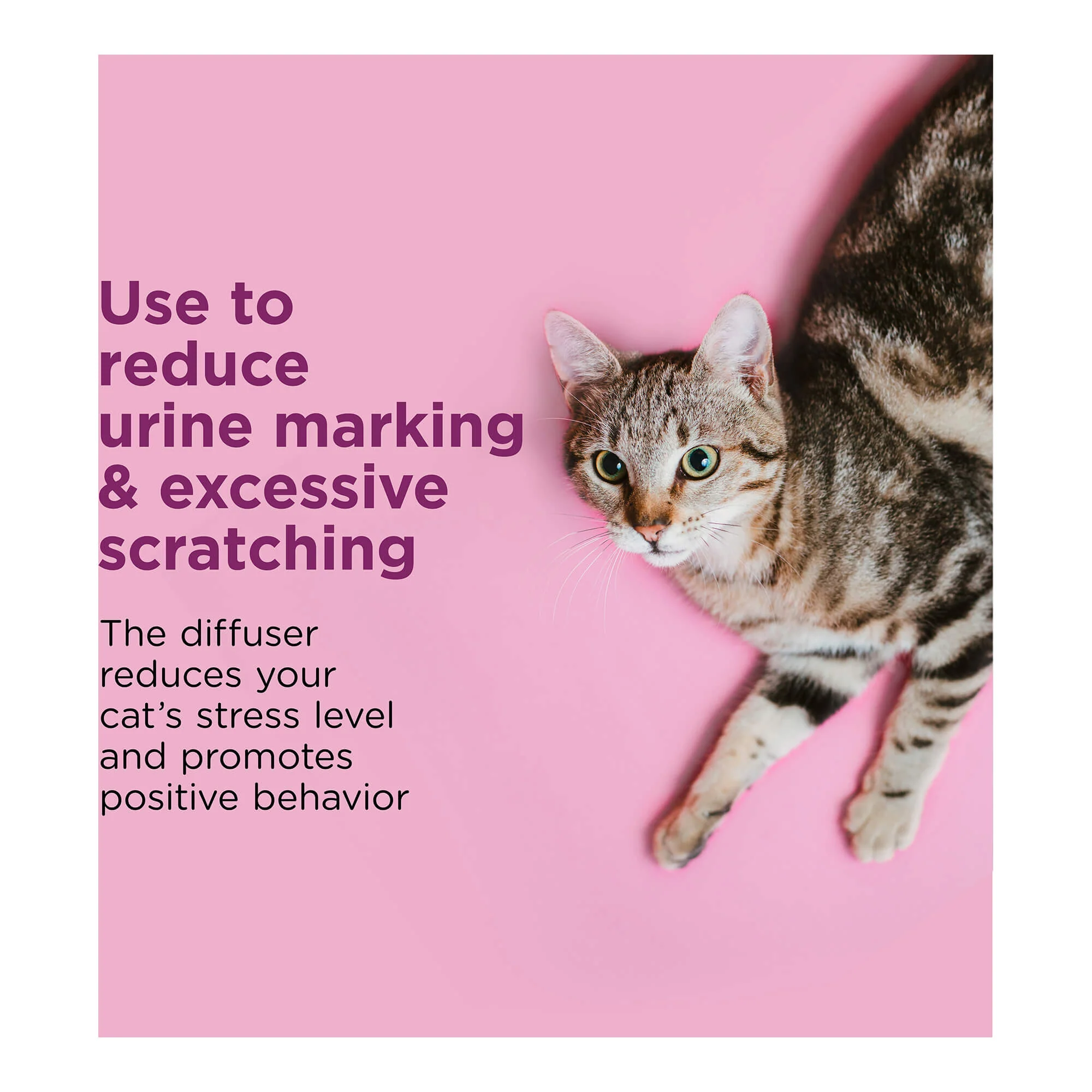 Comfort Zone Calming Diffuser Refills - Pet's Shop