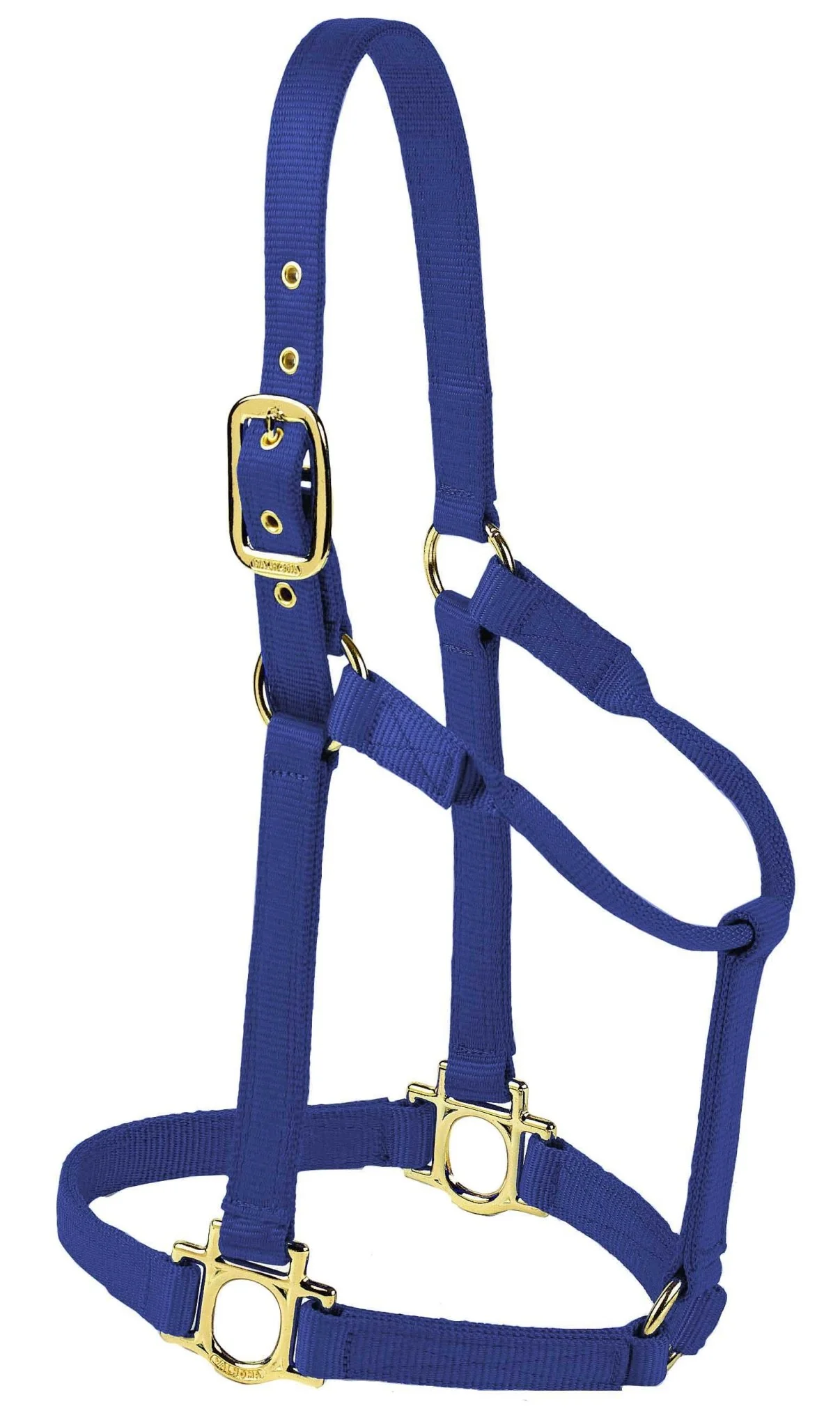 Valhoma Premium Nylon Halter - Pet's Shop