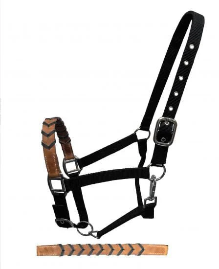 Showman Leather Nose & Buckstitch Halter - Pet's Shop
