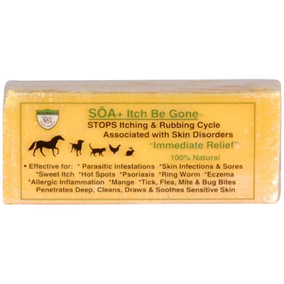 SOA+ Itch Be Gone Soap Bar, 11 oz - Pet's Shop